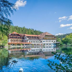 Hotel Langenwaldsee